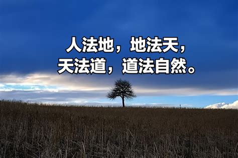 人法地|如何理解“人法地，地法天，天法道，道法自然”这句话？